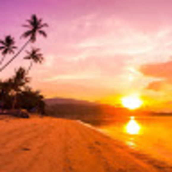 Meet your Posher, Sonja - Picture 1 of 1